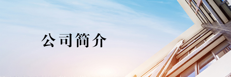 公司介绍